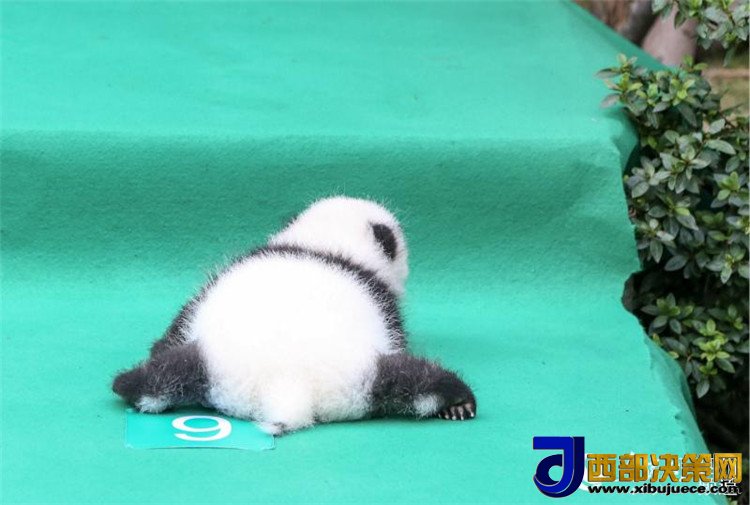 1506670563985341.jpg 2.jpg