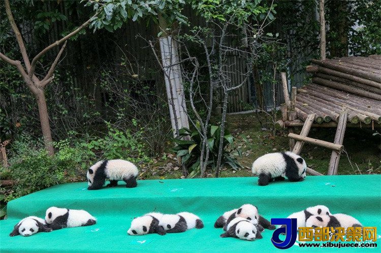 1506670573994206.jpg 3.jpg