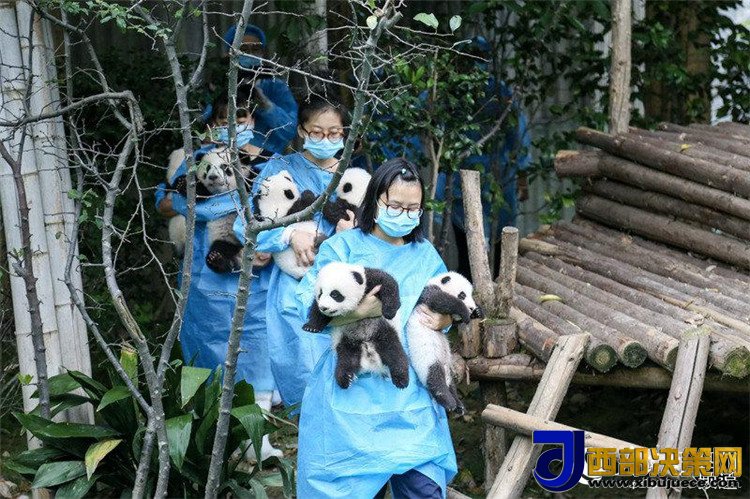 1506670580294595.jpg 4.jpg