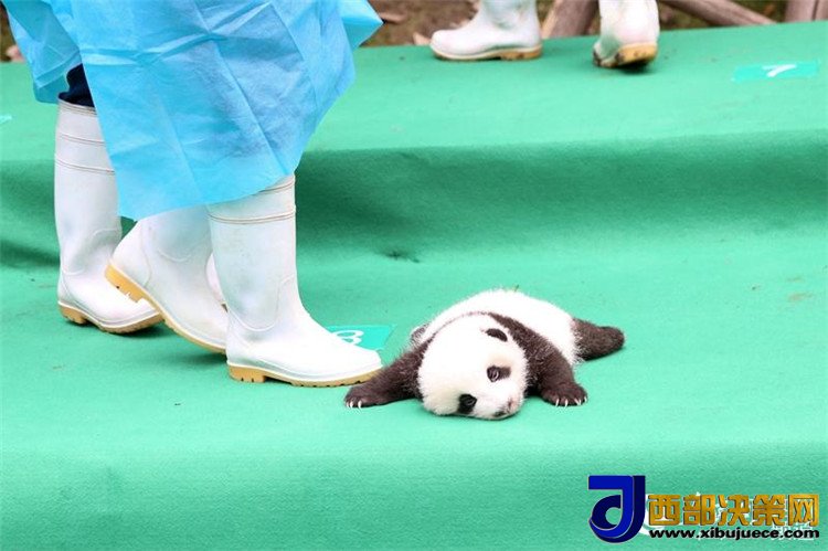 1506670612115183.jpg 5.jpg