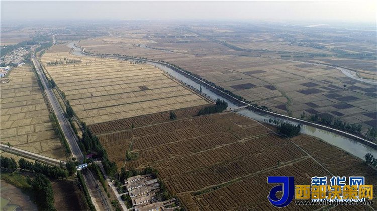 1507780074140890.jpg 4.jpg