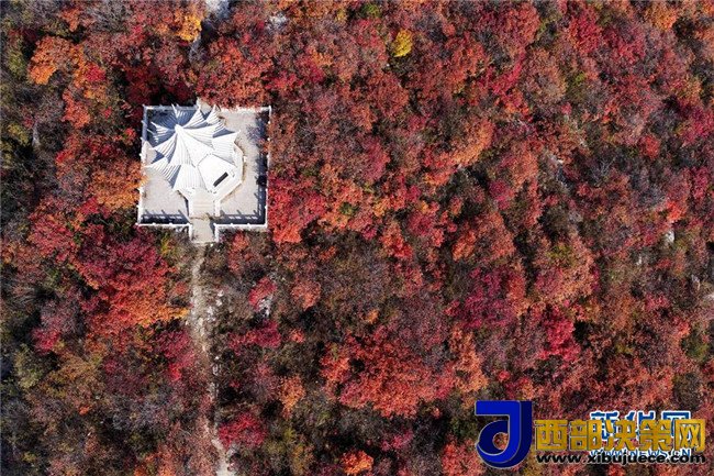 1509066936971012.jpg 1.JPG