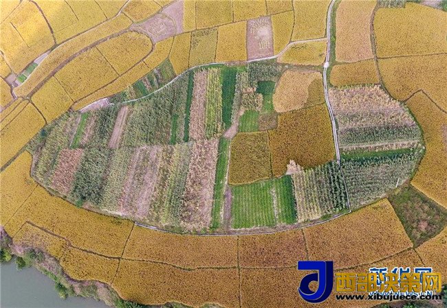 1509675513112463.jpg 2.jpg