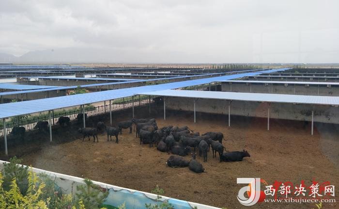 點擊進(jìn)入下一頁