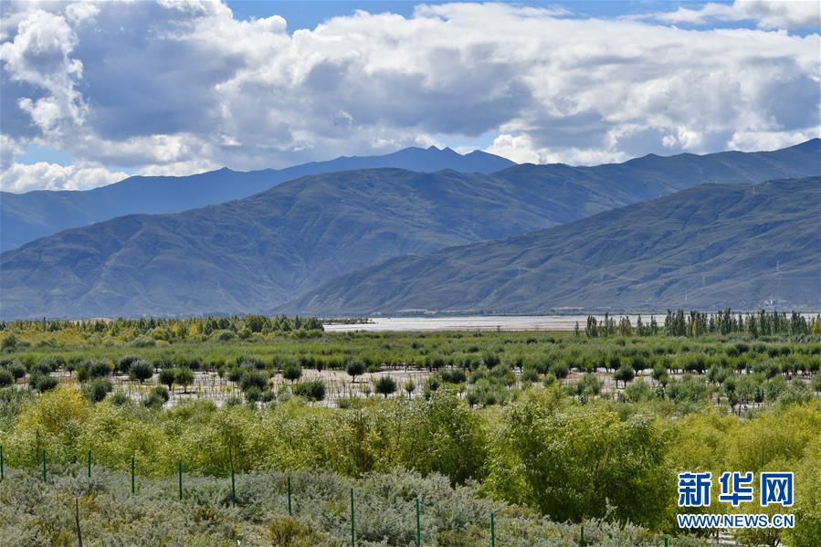 （圖文互動(dòng)）（4）“今天的生活，就像夢里夢到那樣甜”——寫在西藏百萬農(nóng)奴解放61周年之際