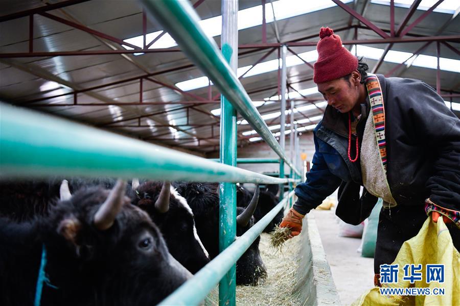 (圖文互動(dòng))(15)青海省所有貧困縣脫貧摘帽