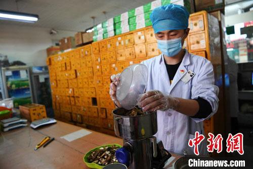 疫情發(fā)生以來，甘肅確保所有病例盡早、及時、全程使用中醫(yī)中藥，努力做到“一患一方案”。(資料圖) 楊艷敏 攝