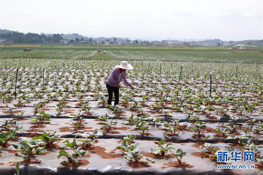 (新華全媒頭條·走向我們的小康生活·決戰(zhàn)決勝脫貧攻堅·圖文互動)(3)千年之渴今朝解——貴州貧困群眾實現(xiàn)“吃水不愁”