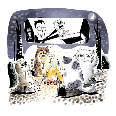 ▲物理學(xué)家薛定諤曾用一只貓比喻量子疊加。圖片來(lái)源：視覺(jué)中國(guó)