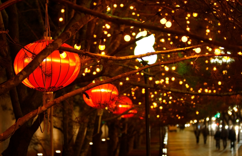 大紅燈籠 大紅燈籠