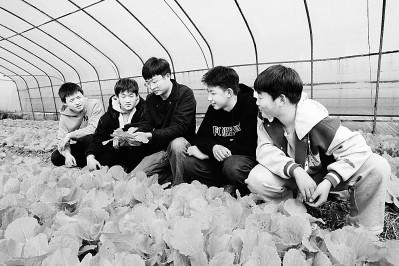 發(fā)展面向鄉(xiāng)村振興的職業(yè)教育：人才如何“向農而行”